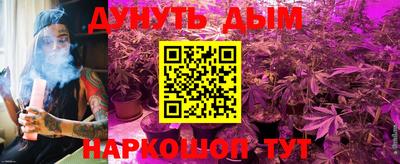 мдпв Можга