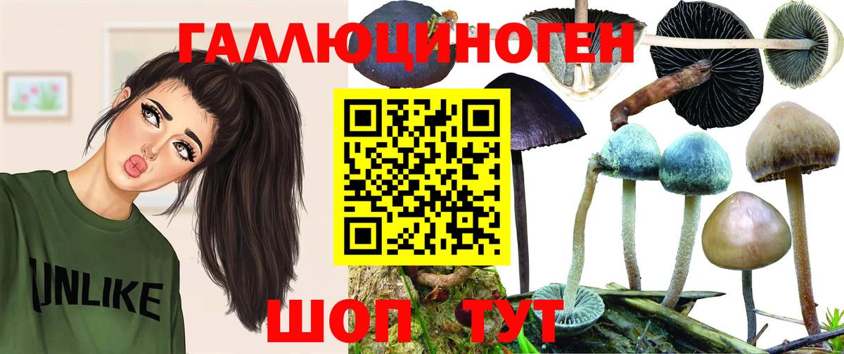 Галлюциногенные грибы Cubensis  Вход с VPN  Уварово 
